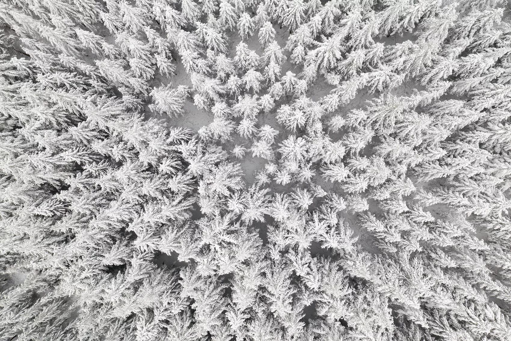 Photographie et vidéo aérienne par drone